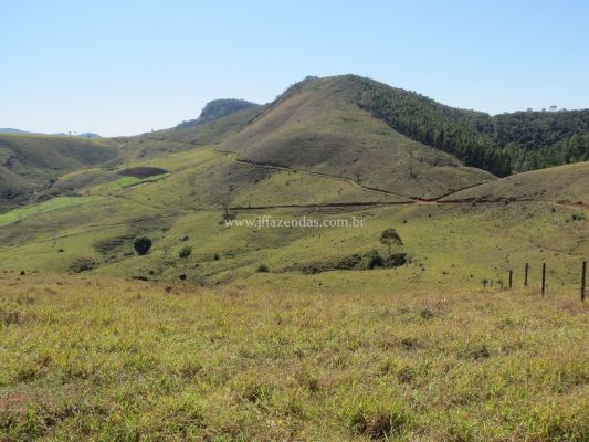 Fazenda em Juiz de Fora – MG – 296 hectares Fazenda em Juiz de Fora – MG – 296 hectares