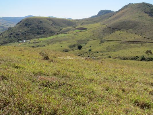 Fazenda em Juiz de Fora – MG – 296 hectares Fazenda em Juiz de Fora – MG – 296 hectares