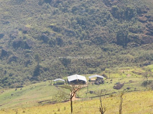 Fazenda em Juiz de Fora – MG – 296 hectares Fazenda em Juiz de Fora – MG – 296 hectares