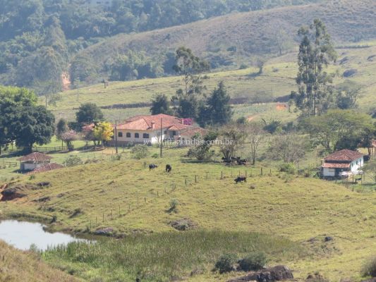 Fazenda em Juiz de Fora – MG – 296 hectares Fazenda em Juiz de Fora – MG – 296 hectares