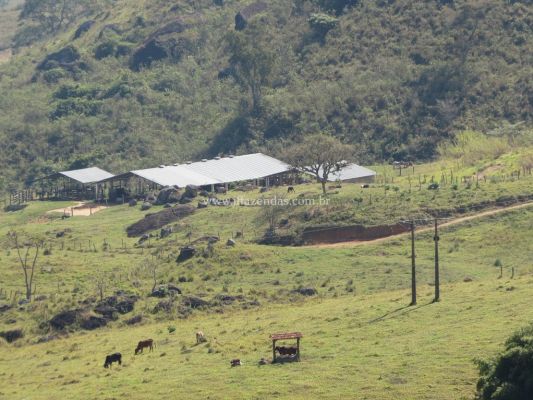 Fazenda em Juiz de Fora – MG – 296 hectares Fazenda em Juiz de Fora – MG – 296 hectares