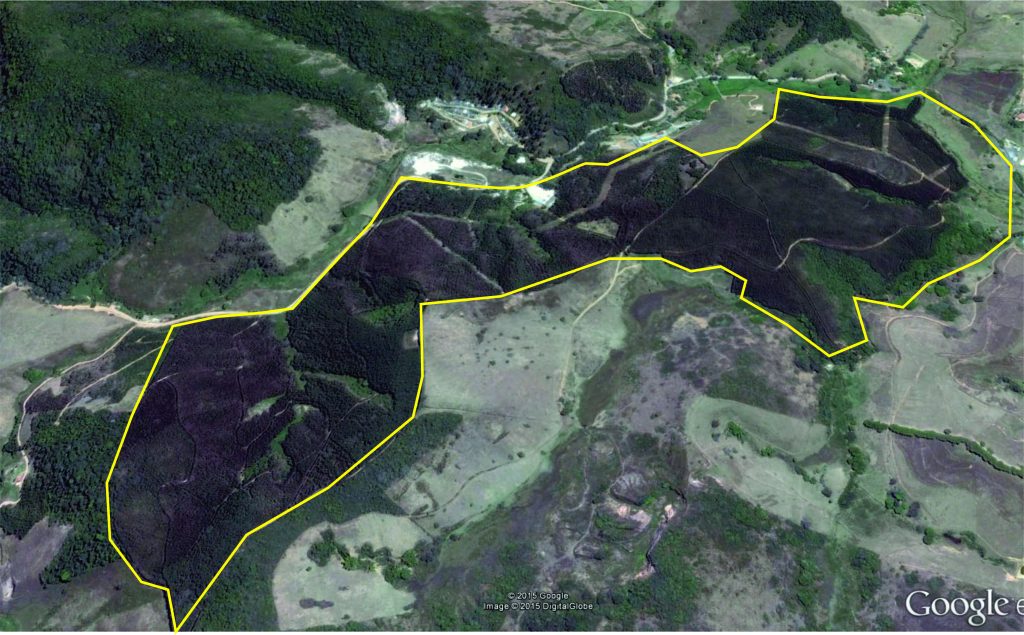 Fazenda de Eucalipto em Belmiro Braga – MG – 120 hectares Fazenda de Eucalipto em Belmiro Braga – MG – 120 hectares