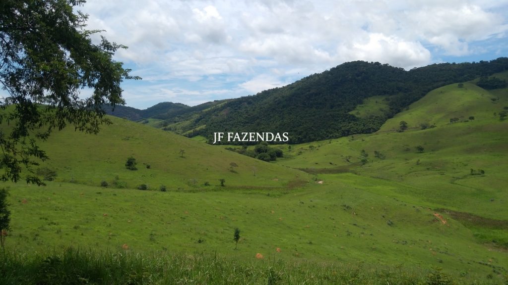 Fazenda Centenária – 255 hectares – Belmiro Braga – MG Fazenda Centenária – 255 hectares – Belmiro Braga – MG
