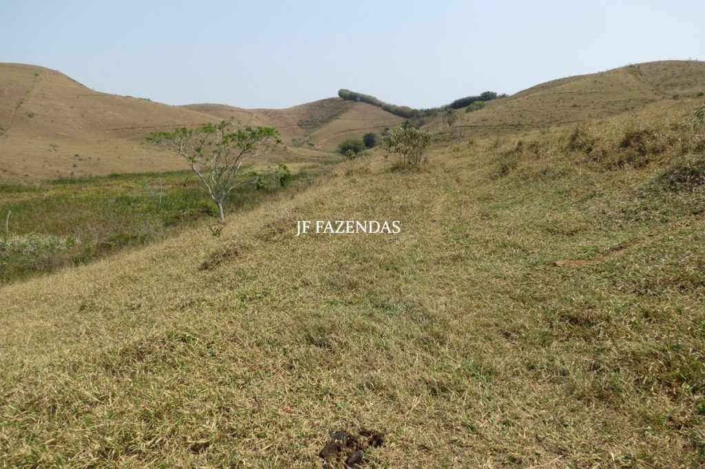 Fazenda em Belmiro Braga – MG – 117 hectares Fazenda em Belmiro Braga – MG – 117 hectares