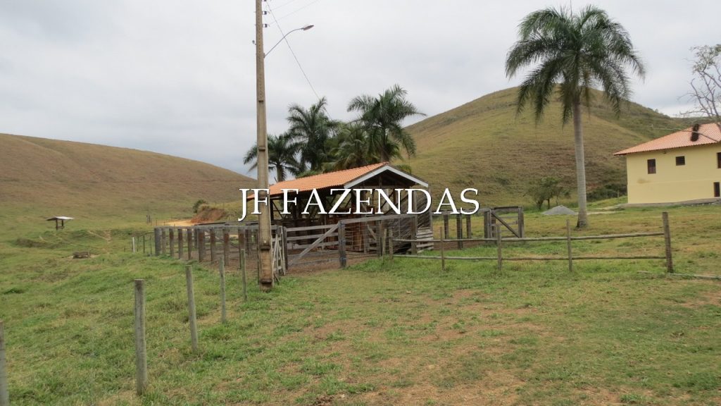 Fazenda em Simão Pereira -MG – 100 hectares Fazenda em Simão Pereira -MG – 100 hectares