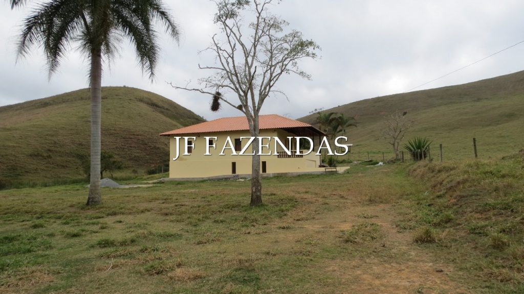 Fazenda em Simão Pereira -MG – 100 hectares Fazenda em Simão Pereira -MG – 100 hectares