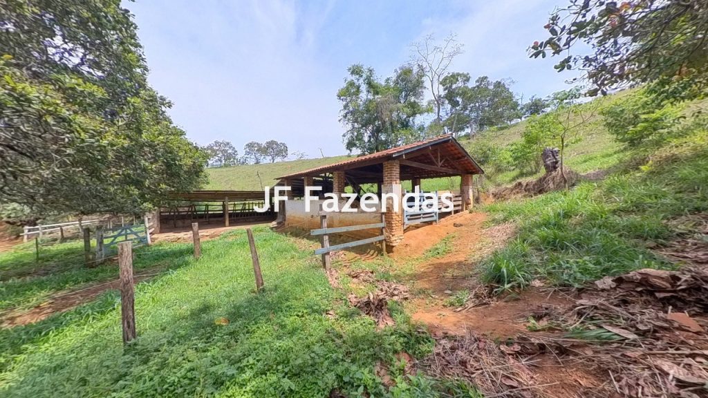 Sitio em Rio Novo – MG – 6.59 hectares