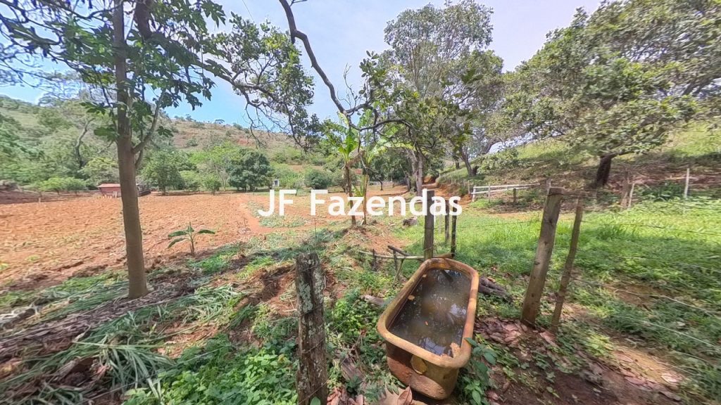 Sitio em Rio Novo – MG – 6.59 hectares