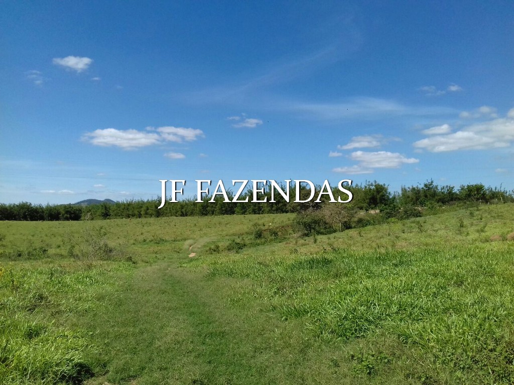 Fazenda em Bicas – MG – 320 hectares