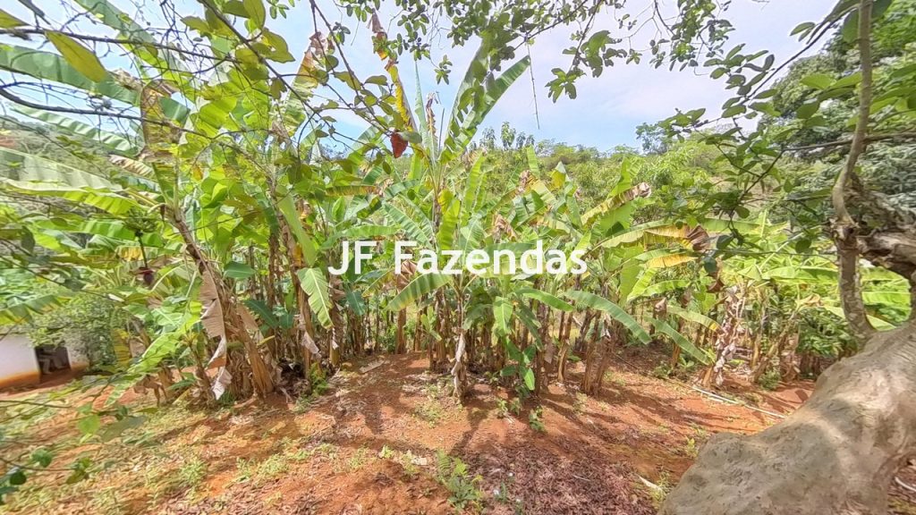 Sitio em Rio Novo – MG – 6.59 hectares