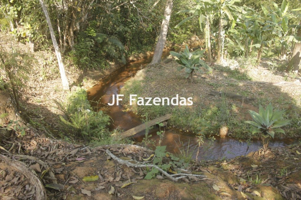 Sitio em Rio Novo – MG – 6.59 hectares