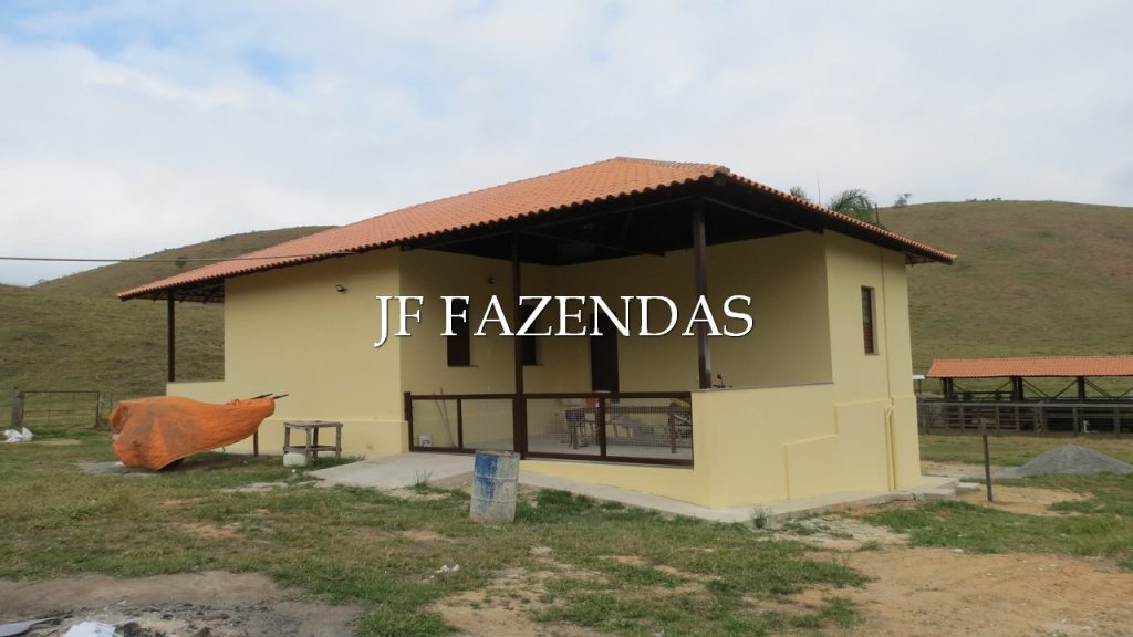 Fazenda em Simão Pereira -MG – 100 hectares