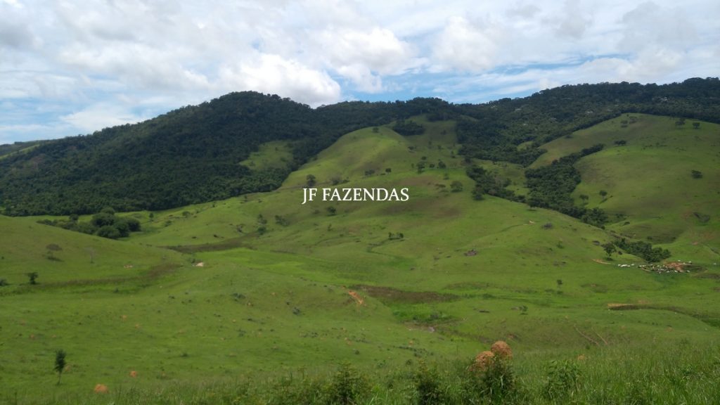 Fazenda Centenária – 255 hectares – Belmiro Braga – MG Fazenda Centenária – 255 hectares – Belmiro Braga – MG