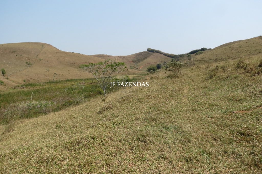 Fazenda em Belmiro Braga – MG – 117 hectares Fazenda em Belmiro Braga – MG – 117 hectares