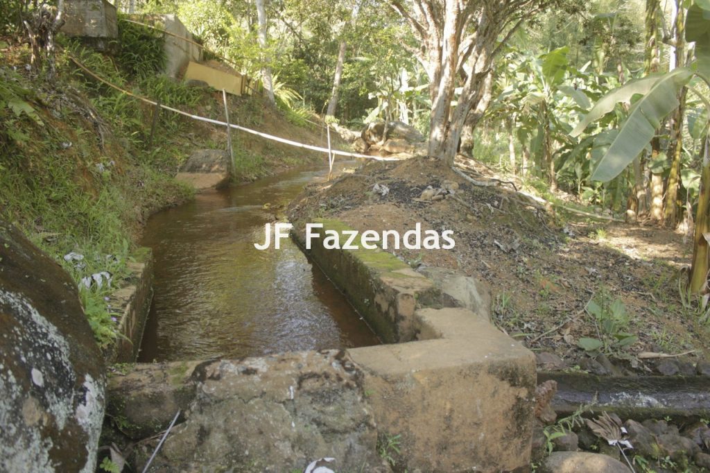 Sitio em Rio Novo – MG – 6.59 hectares