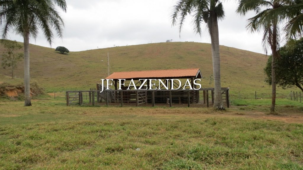 Fazenda em Simão Pereira -MG – 100 hectares