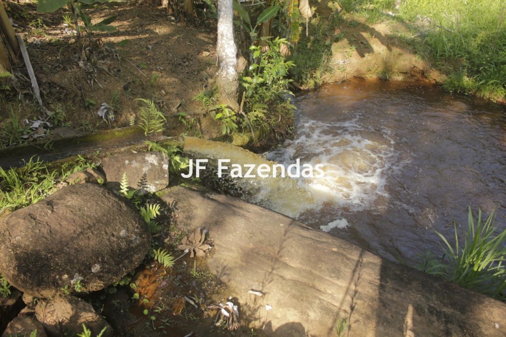 Sitio em Rio Novo – MG – 6.59 hectares