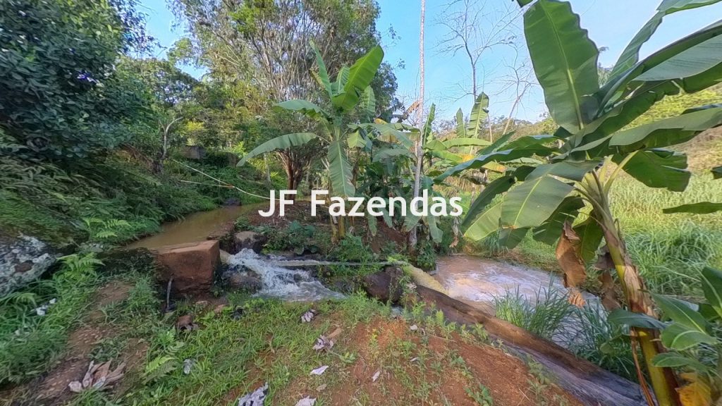 Sitio em Rio Novo – MG – 6.59 hectares