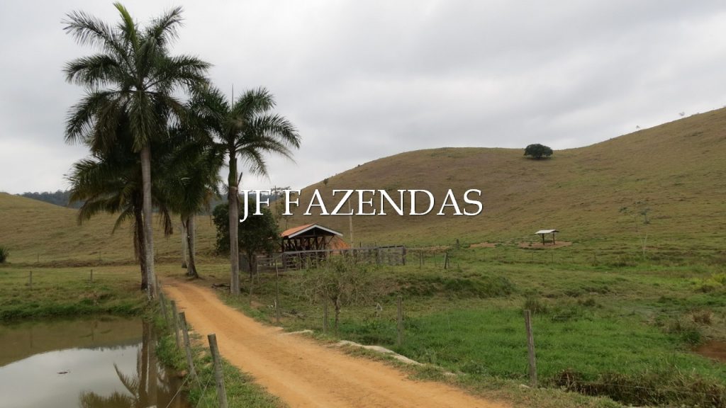 Fazenda em Simão Pereira -MG – 100 hectares Fazenda em Simão Pereira -MG – 100 hectares
