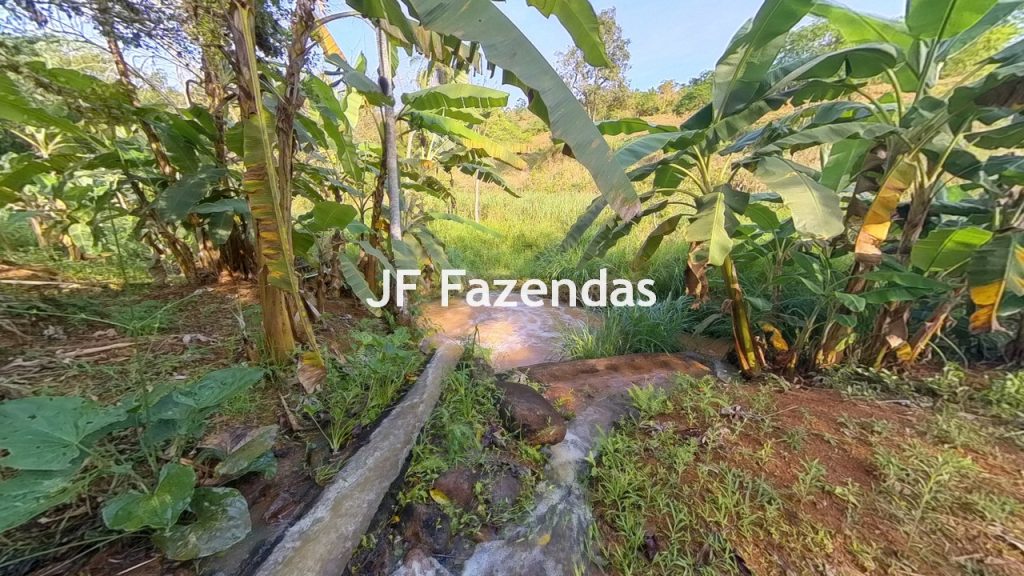 Sitio em Rio Novo – MG – 6.59 hectares