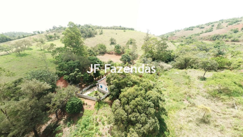 Sitio em Rio Novo – MG – 6.59 hectares