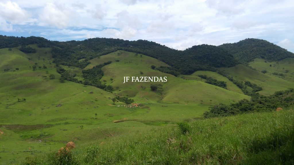Fazenda Centenária – 255 hectares – Belmiro Braga – MG Fazenda Centenária – 255 hectares – Belmiro Braga – MG