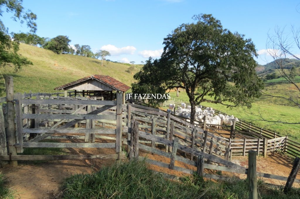 Fazenda Centenária – 255 hectares – Belmiro Braga – MG Fazenda Centenária – 255 hectares – Belmiro Braga – MG