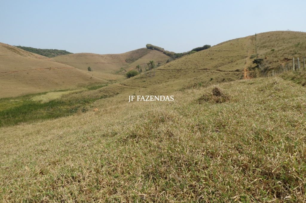 Fazenda em Belmiro Braga – MG – 117 hectares Fazenda em Belmiro Braga – MG – 117 hectares