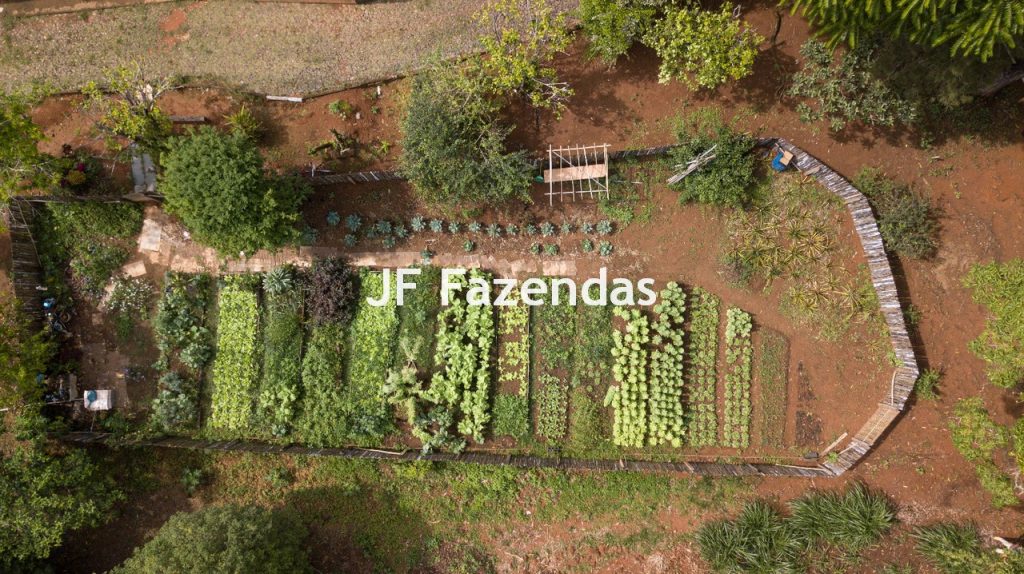Sitio em Rio Novo – MG – 6.59 hectares
