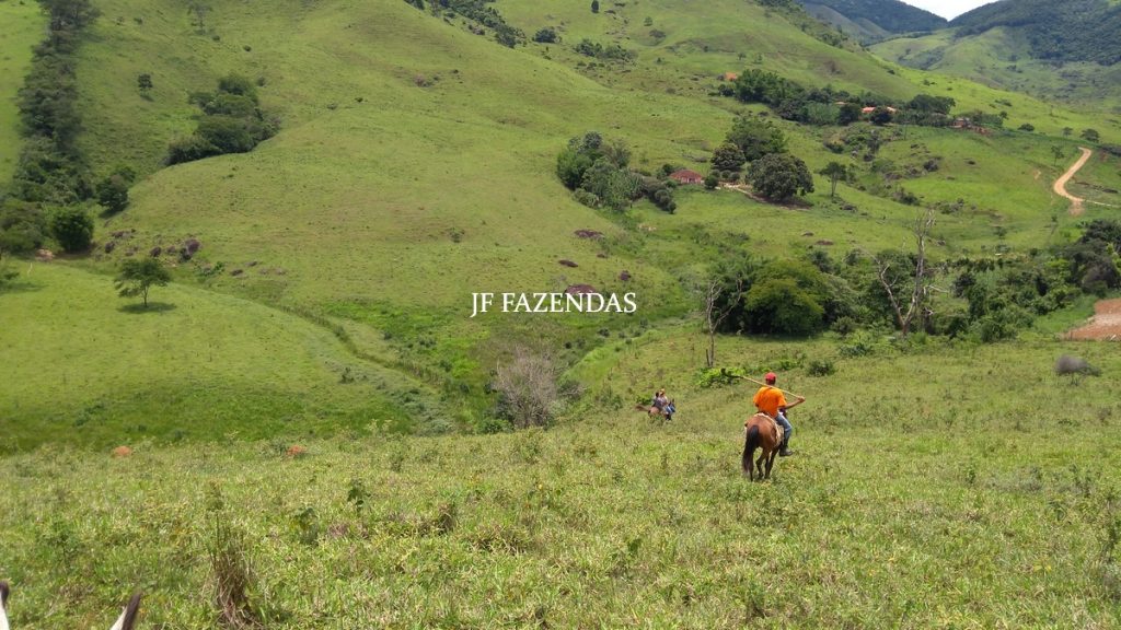Fazenda Centenária – 255 hectares – Belmiro Braga – MG Fazenda Centenária – 255 hectares – Belmiro Braga – MG
