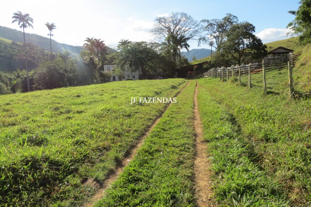 Fazenda Centenária – 255 hectares – Belmiro Braga – MG Fazenda Centenária – 255 hectares – Belmiro Braga – MG