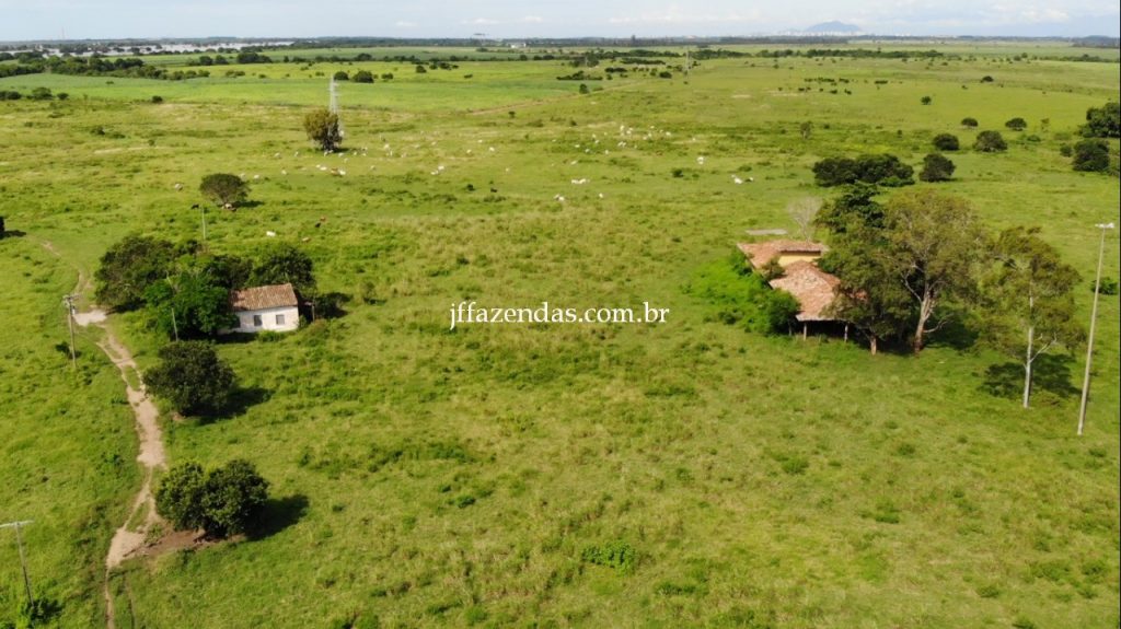 Fazenda em Campos dos Goytacazes – RJ – 4356 hectares
