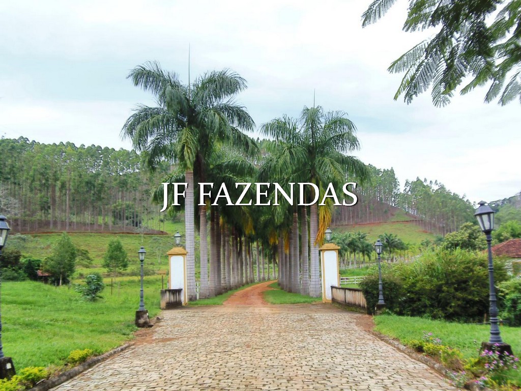 Fazenda em Santana do Deserto/MG – 370 hectares Fazenda em Santana do Deserto/MG – 370 hectares