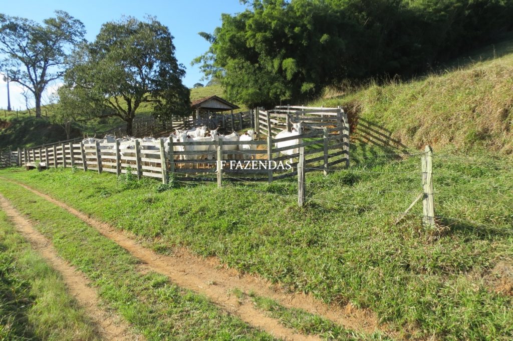 Fazenda Centenária – 255 hectares – Belmiro Braga – MG Fazenda Centenária – 255 hectares – Belmiro Braga – MG