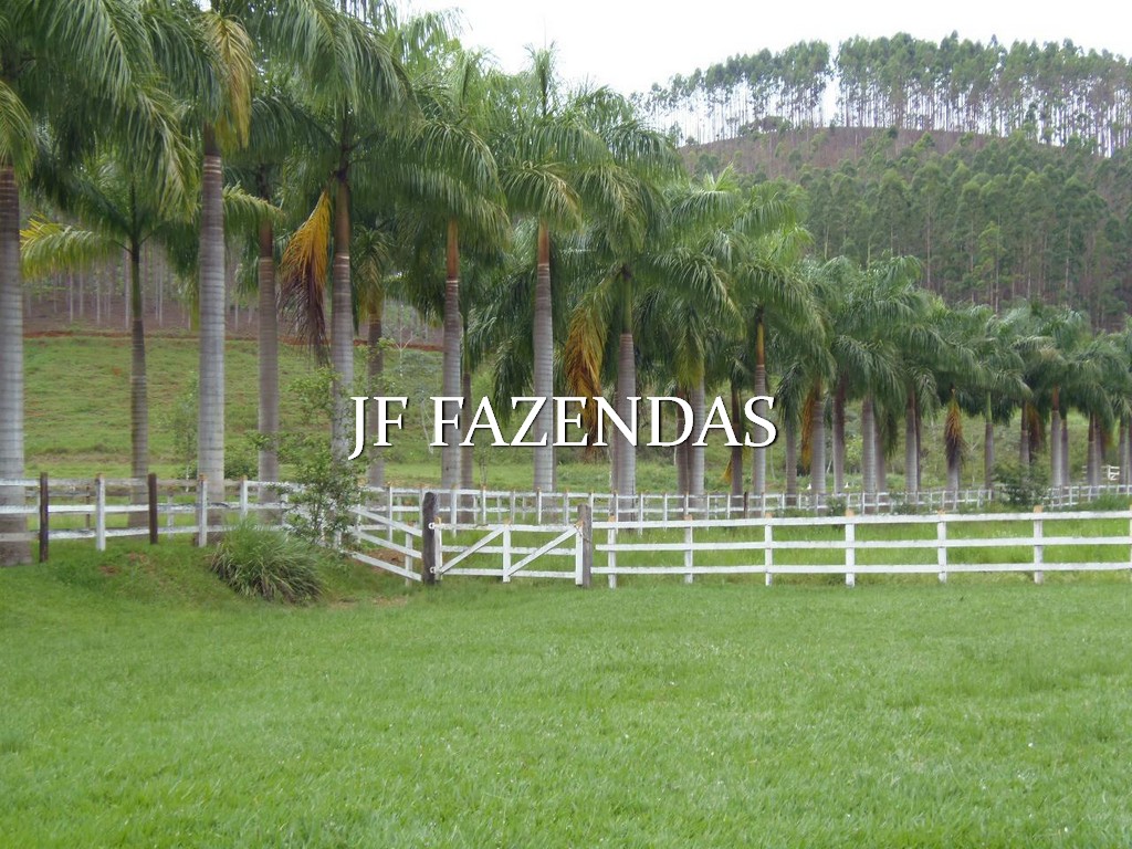 Fazenda em Santana do Deserto/MG – 370 hectares Fazenda em Santana do Deserto/MG – 370 hectares