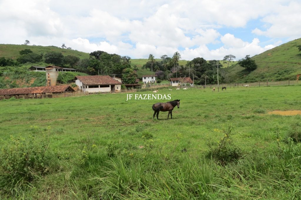 Fazenda em Leopoldina – MG – 1563,32 hectares Fazenda em Leopoldina – MG – 1563,32 hectares