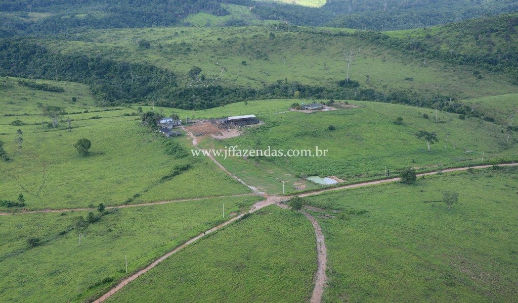 Fazenda em Uruará – PA -3178 hectares