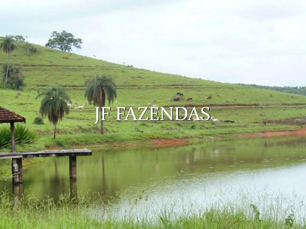 Fazenda em Santana do Deserto/MG – 370 hectares Fazenda em Santana do Deserto/MG – 370 hectares