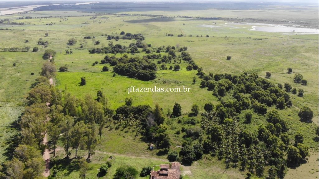 Fazenda em Campos dos Goytacazes – RJ – 4356 hectares