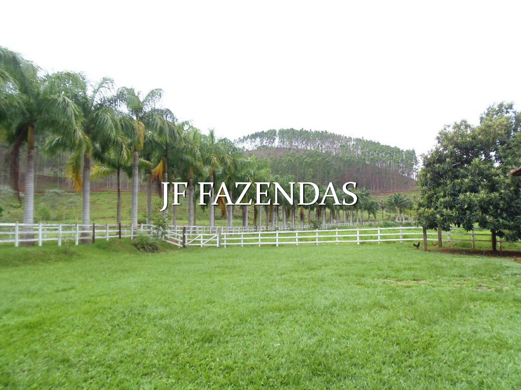 Fazenda em Santana do Deserto/MG – 370 hectares Fazenda em Santana do Deserto/MG – 370 hectares