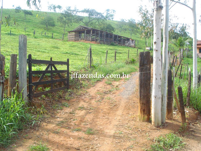 Sitio em Rio Novo – MG – 8 hectares