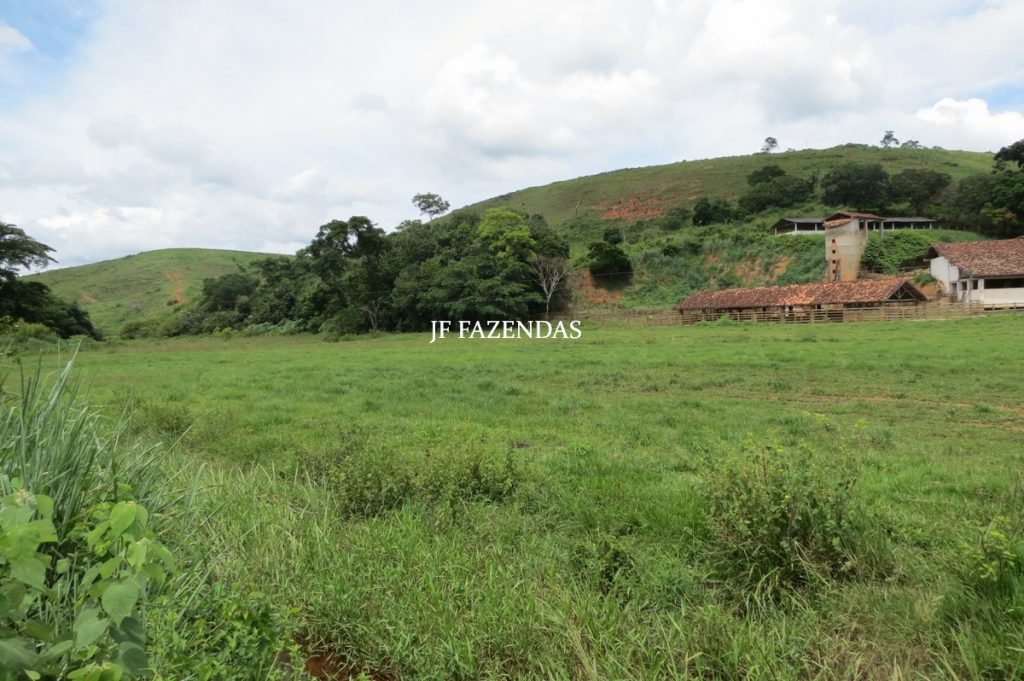Fazenda em Leopoldina – MG – 1563,32 hectares Fazenda em Leopoldina – MG – 1563,32 hectares