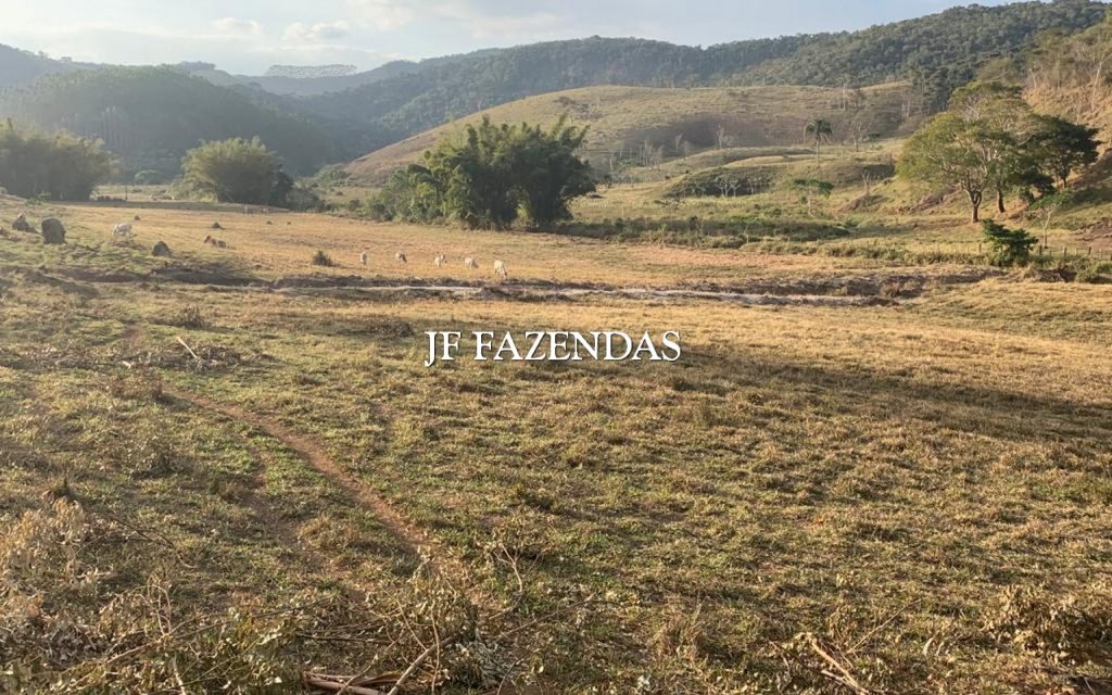 Fazenda em Juiz de Fora/MG – 227 hectares