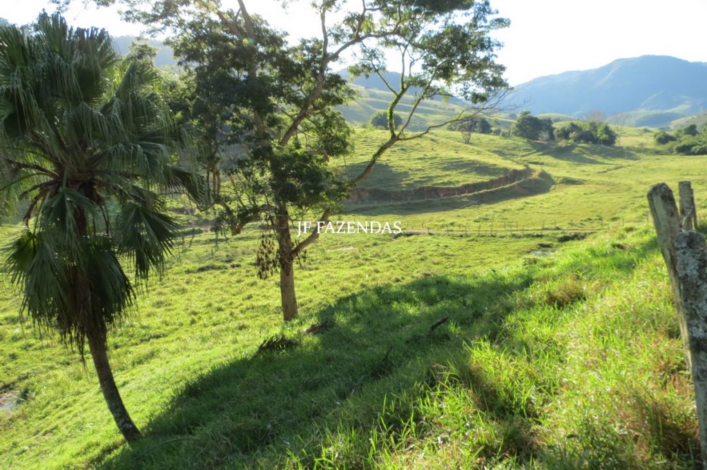 Fazenda Centenária – 255 hectares – Belmiro Braga – MG Fazenda Centenária – 255 hectares – Belmiro Braga – MG