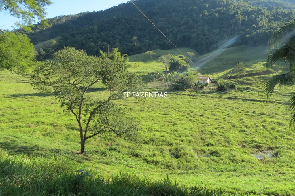Fazenda Centenária – 255 hectares – Belmiro Braga – MG Fazenda Centenária – 255 hectares – Belmiro Braga – MG