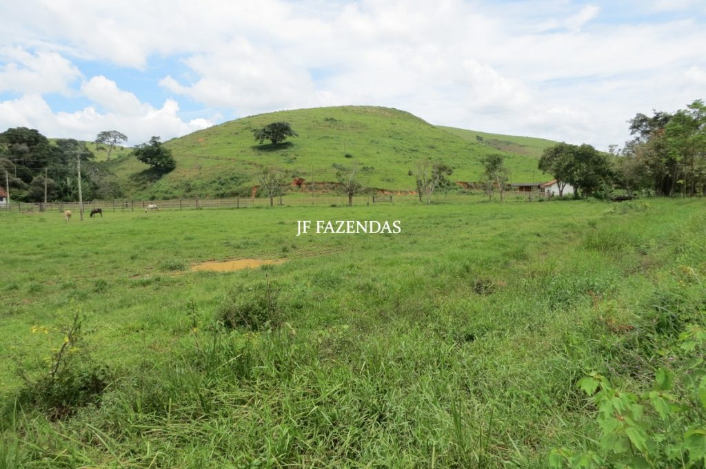 Fazenda em Leopoldina – MG – 1563,32 hectares Fazenda em Leopoldina – MG – 1563,32 hectares