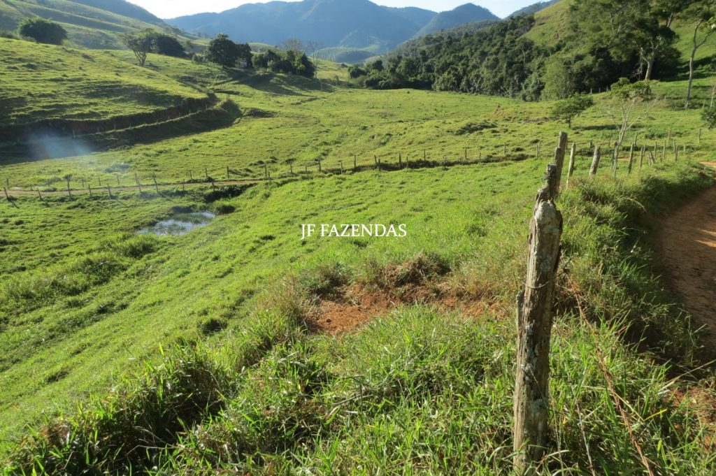 Fazenda Centenária – 255 hectares – Belmiro Braga – MG Fazenda Centenária – 255 hectares – Belmiro Braga – MG