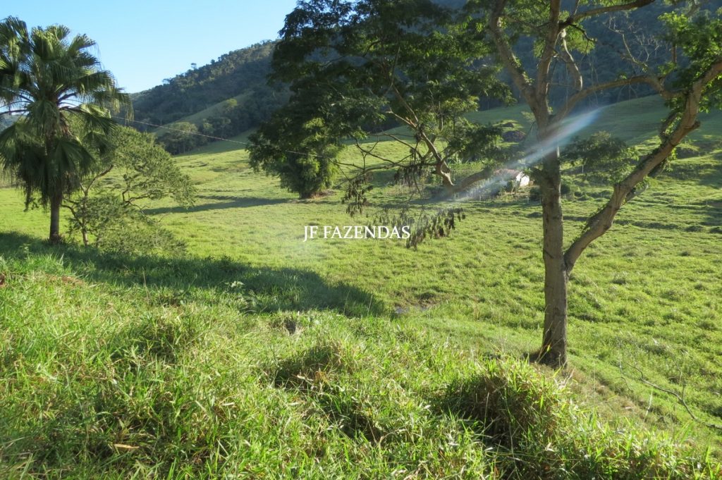 Fazenda Centenária – 255 hectares – Belmiro Braga – MG Fazenda Centenária – 255 hectares – Belmiro Braga – MG