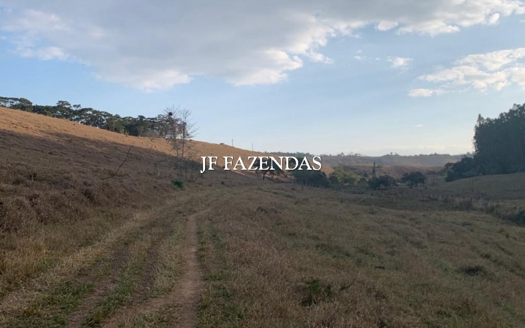 Fazenda em Juiz de Fora/MG – 227 hectares