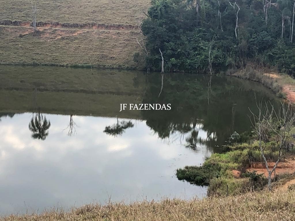 Fazenda produtora de leite – 315,5078 hectares – Guarani – MG Fazenda produtora de leite – 315,5078 hectares – Guarani – MG